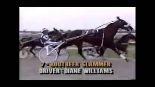 1989 Scioto Downs ROOTBEER SLAMMER Diane Williams [upl. by Anet876]