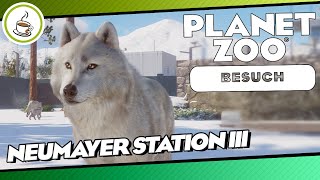 NeumayerStation III von Simpat «» Planet Zoo Community Besuch 🏕  Deutsch  German [upl. by Michell]