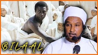 QISOOYIN CAJIIBA  Maalintii Bilal Ibn Rabah Uu Dhimanaayay  Hadalkii Cajiibka Ahaa Ee uu idhi ‼ [upl. by Cirad]