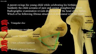 Anatomy of a pulled elbow [upl. by Carlisle]