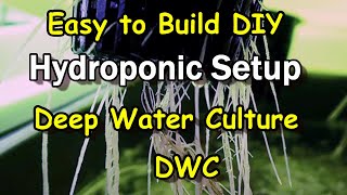 DWC Deep Water Culture Hydroponic System Simple DIY Set Up [upl. by Nauq]