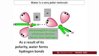 Biochemistry Water PH and Buffers Part 1 tutorial [upl. by Isacco]