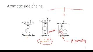 Determining Protonation State of Amino Acids [upl. by Arremat]