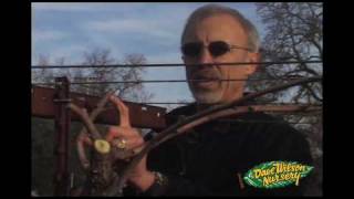 How To Prune Grapes Cane Type [upl. by Arramahs]