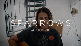 Sparrows Acoustic  Cory Asbury [upl. by Magnuson]