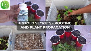 Secret Plant Cuttings Propagation Tips No One Will Tell You [upl. by Ellednek]