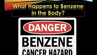 What Happens to Benzene in the Body [upl. by Kaleena996]