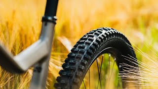 Testing The All NEW Schwalbe Tires  Big Betty And Nobby Nic [upl. by Nannahs]