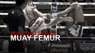 Muay Thai Fighting Styles Part 2  Muay Femur Technical Fighter [upl. by Enrique743]