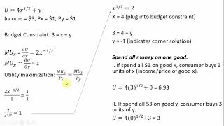 Utility Maximization A Corner Solution [upl. by Stacia]