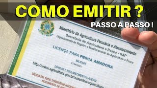 COMO TIRAR A CARTEIRA DE PESCA  PASSO A PASSO NO NOVO SISTEMA [upl. by Nybbor855]