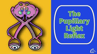 The Pupillary Light Reflex [upl. by Welles]