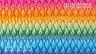 HOW to CROCHET ALPINE STITCH  Stitchorama by Naztazia [upl. by Seiter]