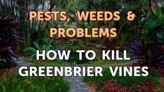 How to Kill Greenbrier Vines [upl. by Arhez]