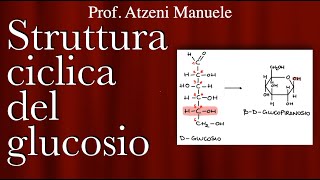 Struttura ciclica del glucosio  L5 [upl. by Pricilla]