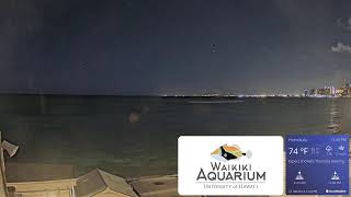 Waikiki Aquarium South Shore Surf Cam [upl. by Karp]