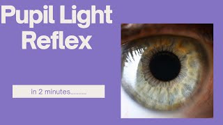 Pupil light reflex in 2 minutes [upl. by Rigdon963]