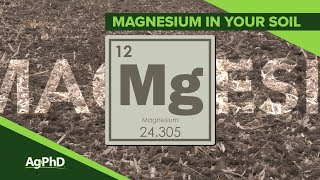 Magnesium In Soil From Ag PhD Show 1120  Air Date 92219 [upl. by Stace]