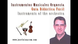 Instrumentos Musicales Orquesta  Guía Didáctica Fácil  Instruments of the orchestra [upl. by Leeke]