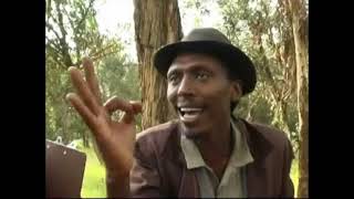 Eritrean comedy suzinino tafla and behabelom Trgum [upl. by Durrej]