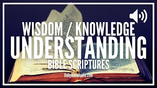 Bible Verses On Wisdom Knowledge and Understanding  Encouraging Scriptures [upl. by Tillford]