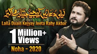 Nohay 2020  Laila Duain Kijiye Jeeta Rahay Akbar  Syed Raza Abbas Zaidi Noha 2020  New Noha 2020 [upl. by Nueormahc]