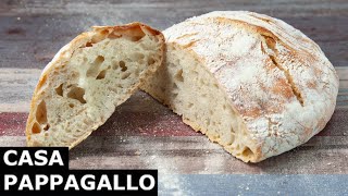 Come Fare Il Pane Senza Impasto [upl. by Pappano]