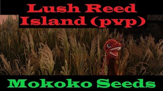 Lush Reed Island PVP  Mokoko Seeds  Lost Ark [upl. by Gere]