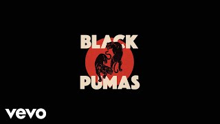 Black Pumas  Colors Official Audio [upl. by Nueormahc]