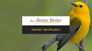 Be a Better Birder Warbler Identification [upl. by Eesdnil128]