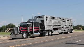 Texas Cattle trucks headed to Kansas [upl. by Christiansen]