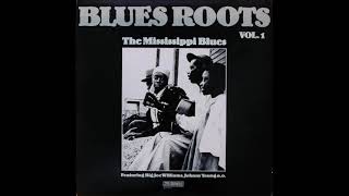 Blues Roots Vol 1  The Mississippi Blues [upl. by Daniels860]