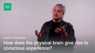 Hard Problem of Consciousness — David Chalmers [upl. by Ecurb792]