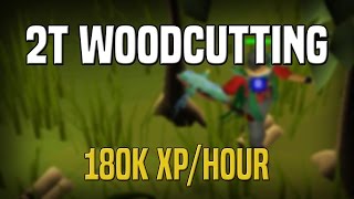 2tick Woodcutting Guide  180k ExpHr [upl. by Trella499]