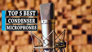 Condenser Mic 5 Best Condenser Microphones  You Can Buy [upl. by Sirrom]