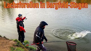 Lachsforellen in Bargfeld Stegen [upl. by Ydarb]