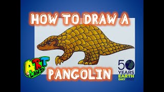 How to Draw a PANGOLIN [upl. by Aivatra]