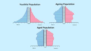 How to Read a Population Pyramid [upl. by Garfinkel]