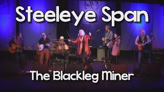 Steeleye Span  Blackleg Miner Live [upl. by Cleave288]