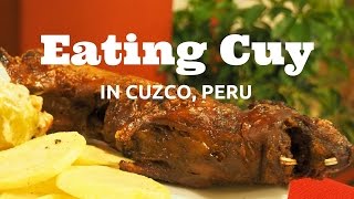 Cuy Eating Guinea Pig in Cusco Peru [upl. by Lleznov]