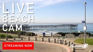 Live Surf Cam Pacific Beach California [upl. by Tharp]