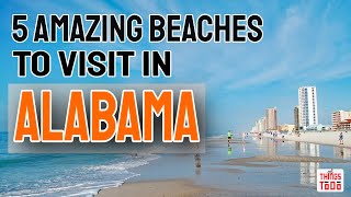 5 Amazing Beaches To Visit in Alabama [upl. by Nirihs890]