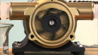 How a Jabsco Flexible Impeller Pump Works [upl. by Asyl575]