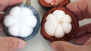 What Does Mangosteen Fruit Taste Like [upl. by Raclima462]