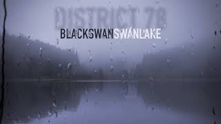 BLACK swan SWAN lake  District 78 Swan Lake Remix [upl. by Eugenius]