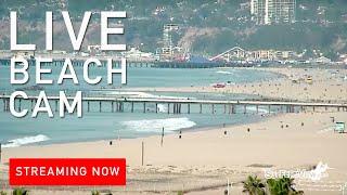 Live Surf Cam Venice Beach California [upl. by Zat495]