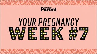 Your pregnancy 7 weeks [upl. by Akived88]