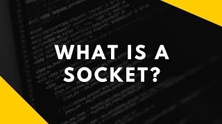 What is a Socket [upl. by Ynffit]