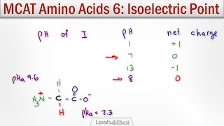 Isoelectric Point of Amino Acids with MCAT Shortcut [upl. by Eico217]