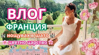 ЦВЕТНО ЦАРСТВО 🌸 ФРАНЦИЯ [upl. by Barra]